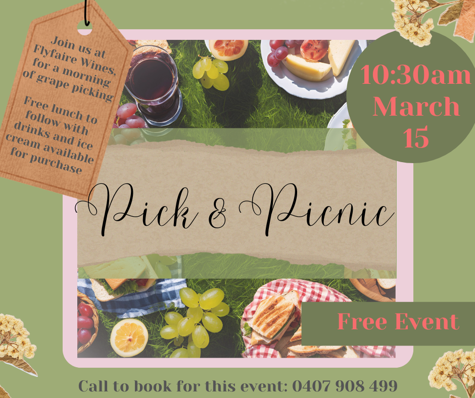 Pick and Picnic promo.png